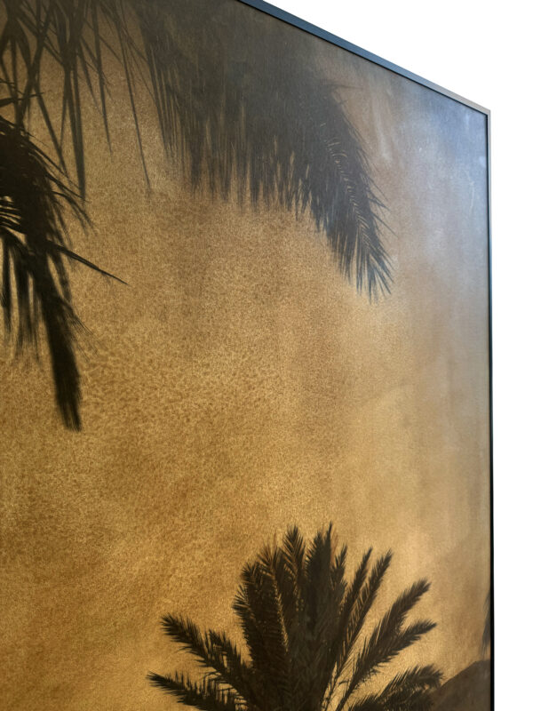 Palm - Afbeelding 2