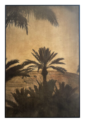 Palm