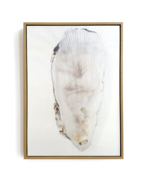 Oyster 2