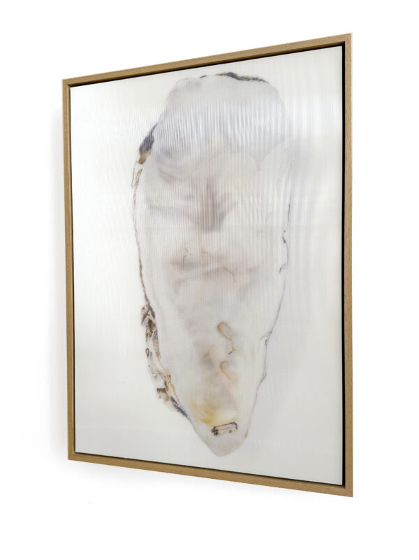 Oyster 2 - Afbeelding 3