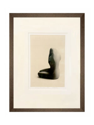 La Force Silencieuse