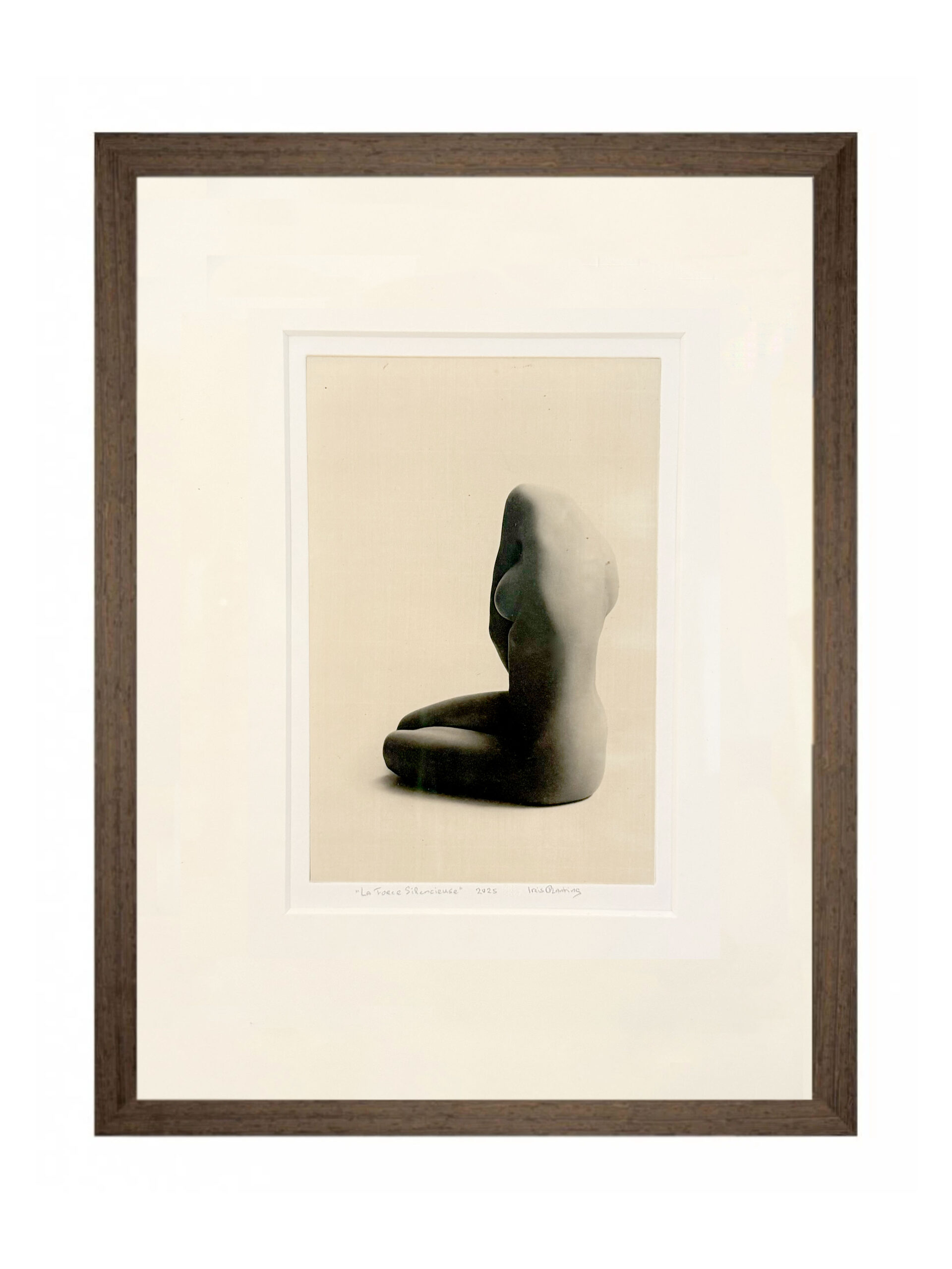 La Force Silencieuse